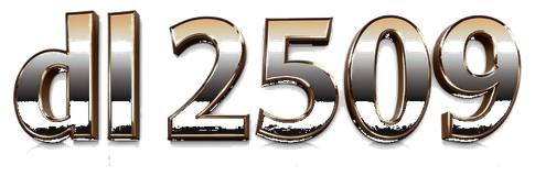 dl2509 logo